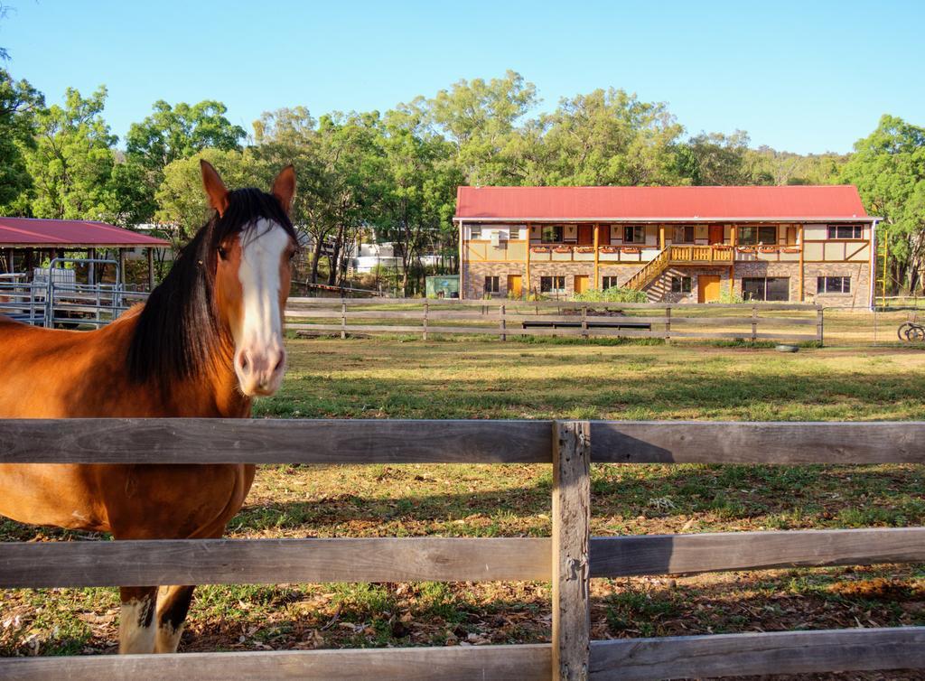 Pilliga Pottery Creative Farmstay Coonabarabran Room photo
